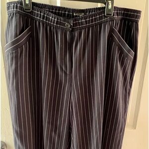 Eileen Fisher Navy Pinstriped Pants Size xL